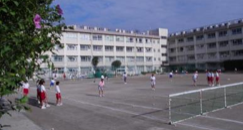 葛飾区立新宿中学校