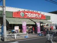 つるかめランド　鹿骨店